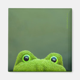 Peek-a-Boo Frog | Vierkante magneet ontwerp