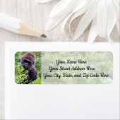 Peek-A-Boo Gorilla Adresetiketten Etiket (Insitu)