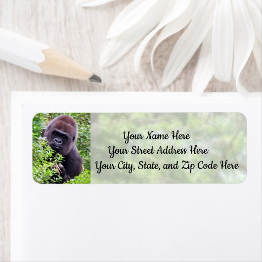Peek-A-Boo Gorilla Adresetiketten Etiket (Insitu)
