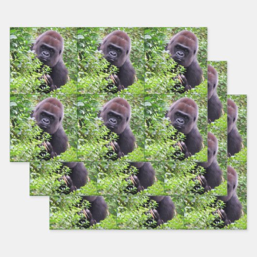 Peek-A-Boo Gorilla alle keren Inpakpapier Vel (Set)