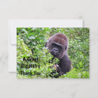 Peek-A-Boo Gorilla - Hartelijk dank voor uw kaarte