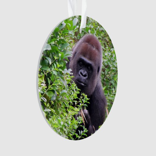 Peek-A-Boo Gorilla Ornament (voorkant)