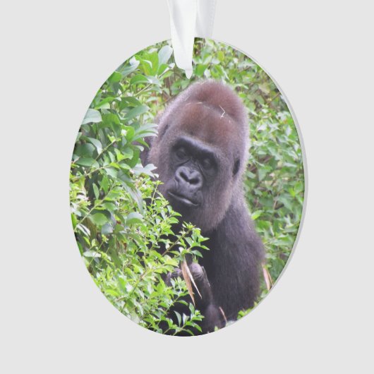 Peek-A-Boo Gorilla Ornament (voorkant)