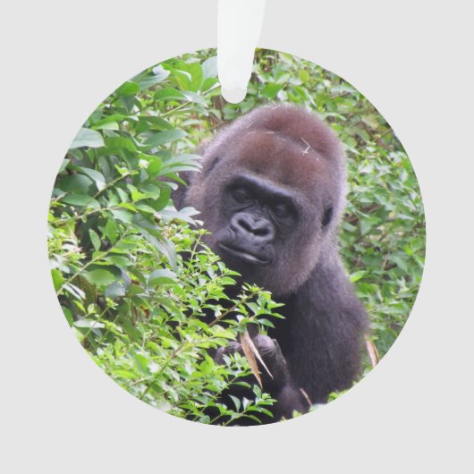 Peek-A-Boo Gorilla Ornament (voorkant)