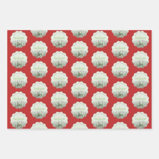 Peek-a-Boo Grasshopper 1e verjaardag Picknickfeest Inpakpapier Vel (Voorkant 3)