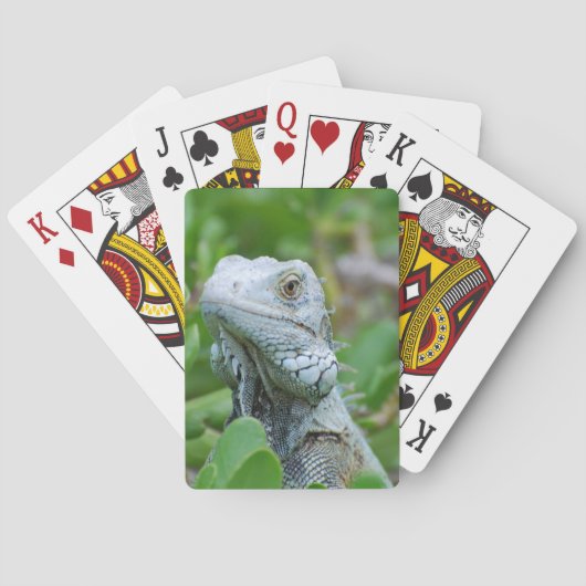 Peek-a-boo Iguana Pokerkaarten (Achterkant)