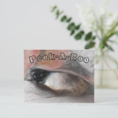 Peek-A-Boo ik mis je Siamese Kitten onder de luipe Briefkaart (Staand voorkant)