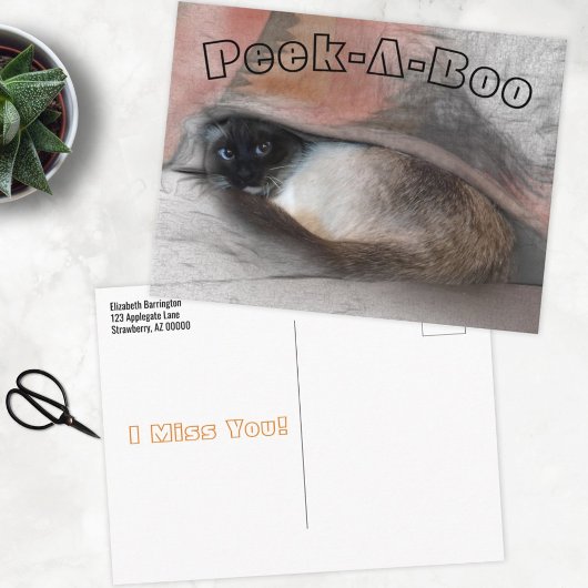 Peek-A-Boo ik mis je Siamese Kitten onder de luipe Briefkaart