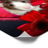 Peek-a-boo, ik zie je! Poster (Hoek)