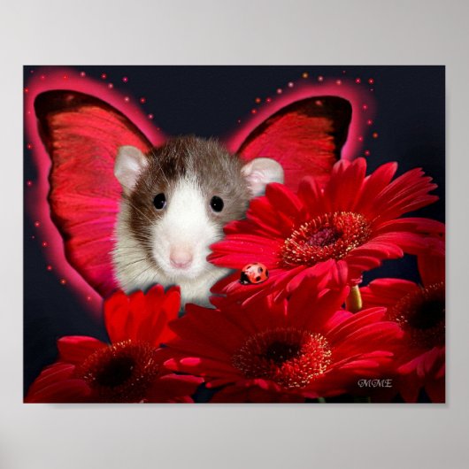 Peek-a-boo, ik zie je! Poster (Voorkant)