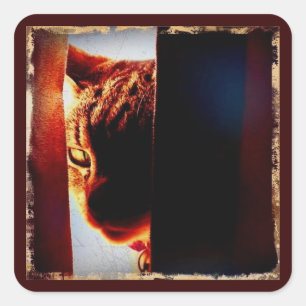Peek-a-boo Indigo Vierkante Sticker