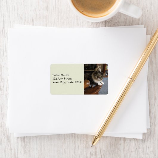 Peek-a-Boo Kat Zorro Adresetiketten Etiket (Insitu)