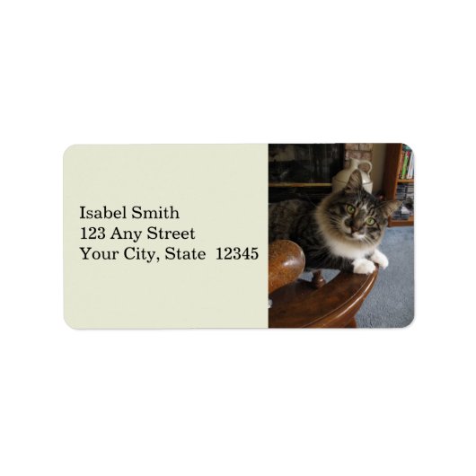 Peek-a-Boo Kat Zorro Adresetiketten Etiket (Voorkant)