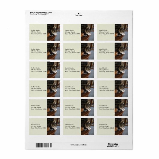 Peek-a-Boo Kat Zorro Adresetiketten Etiket (Full Sheet)