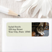 Peek-a-Boo Kat Zorro Return Address Labels (Insitu)