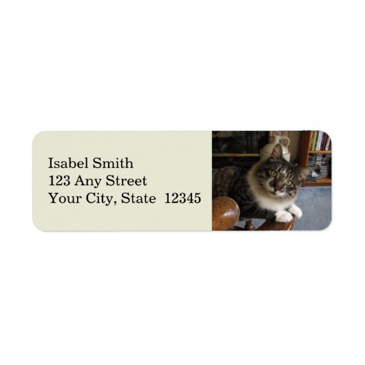 Peek-a-Boo Kat Zorro Return Address Labels (Voorkant)