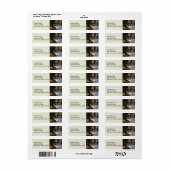 Peek-a-Boo Kat Zorro Return Address Labels (Full Sheet)