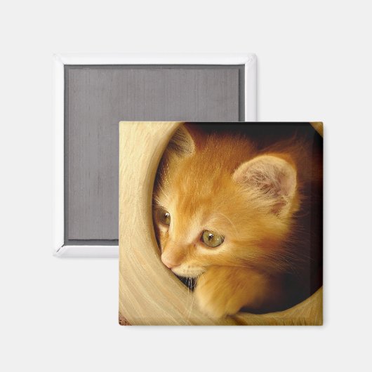 Peek-a-boo! Kitten - Magneet (Voorkant / Achterkant)