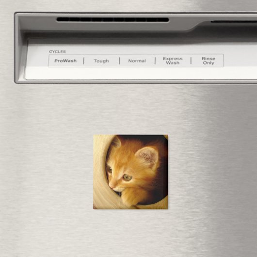 Peek-a-boo! Kitten - Magneet (Insitu (Vaatwasser))