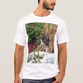 Peek-a-Boo Kitten T-shirt (Voorkant)