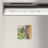 Peek-a-Boo! Magneet (Insitu (Vaatwasser))