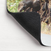 Peek-a-Boo Moose Mousepad Muismat (Hoek)