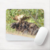 Peek-a-Boo Moose Mousepad Muismat (Met muis)