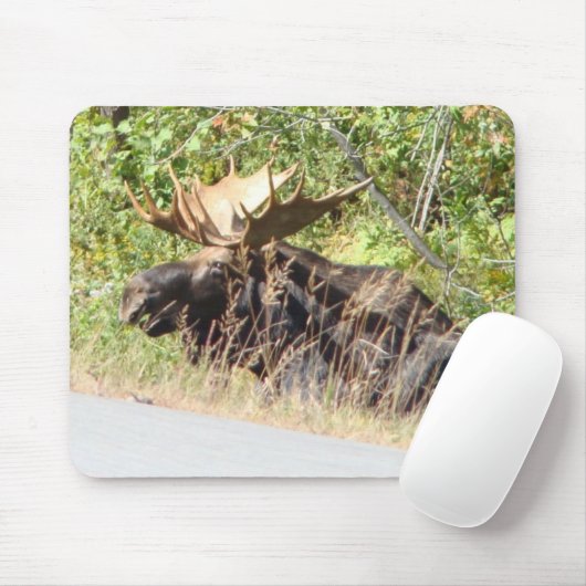 Peek-a-Boo Moose Mousepad Muismat (Met muis)