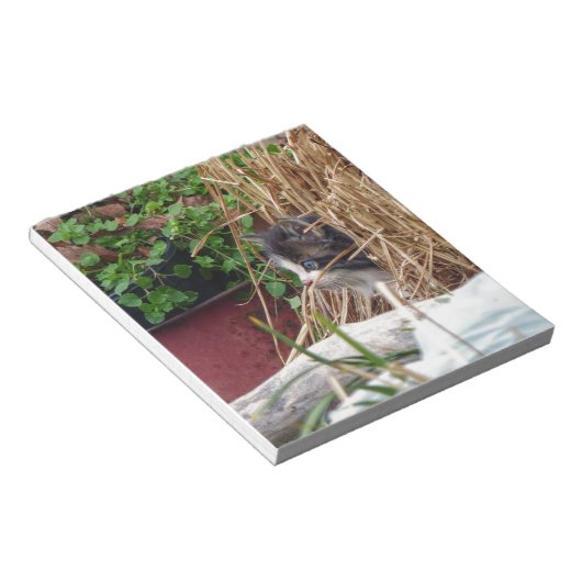 Peek-a-Boo Notitieblok (Schuin)