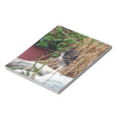 Peek-a-Boo Notitieblok (Linkerzijde)