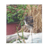 Peek-a-Boo Notitieblok (Voorkant)