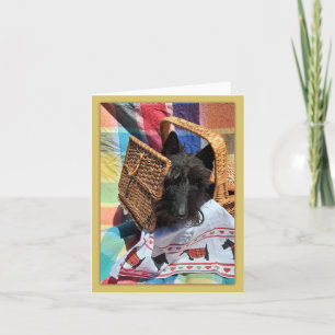 Peek-a-Boo Notitiekaartje