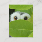 Peek A Boo Owl Visitekaartje (Achterkant)