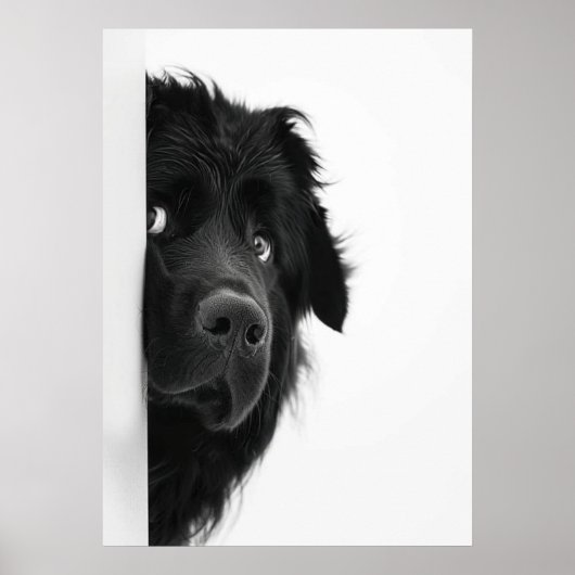 Peek-a-Boo Pup – Funny Dog Photography Print” Poster (Voorkant)
