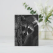 Peek-a-Boo Raccoon Briefkaart (Staand voorkant)