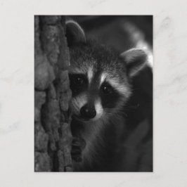 Peek-a-Boo Raccoon Briefkaart