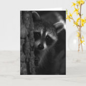 Peek-a-Boo Raccoon Kaart (Gele Bloem)