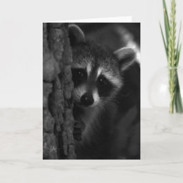 Peek-a-Boo Raccoon Kaart