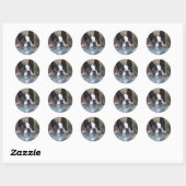 Peek A Boo Ronde Sticker (Vel)
