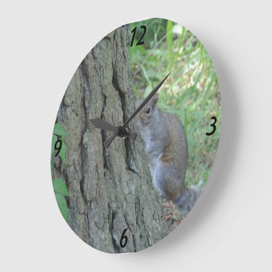 Peek A Boo Squirrel - Grote Klok (Hoek)