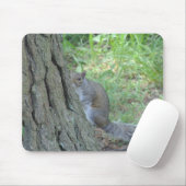 Peek A Boo Squirrel - Muismat (Met muis)