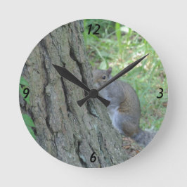Peek A Boo Squirrel - Ronde Klok