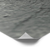 Peek-a-Boo Teddy Poster (Hoek)