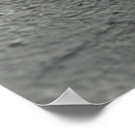 Peek-a-Boo Teddy Poster (Hoek)