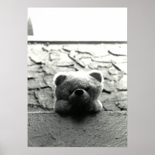 Peek-a-Boo Teddy Poster