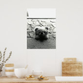 Peek-a-Boo Teddy Poster (Keuken)