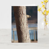 peek-a-boo verjaardagskaart kaart (Gele Bloem)