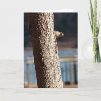 peek-a-boo verjaardagskaart kaart