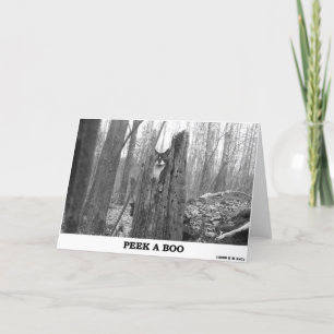 PEEK EEN BOO KAART