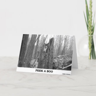 PEEK EEN BOO KAART